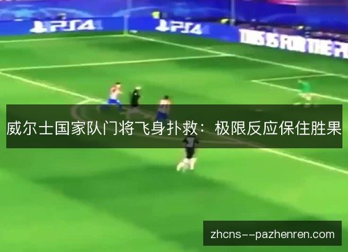 威尔士国家队门将飞身扑救:极限反应保住胜果 威尔士国家队门将飞身扑救:极限反应保住胜果